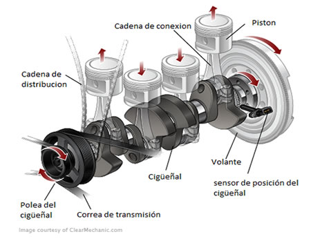 ciguenal 1